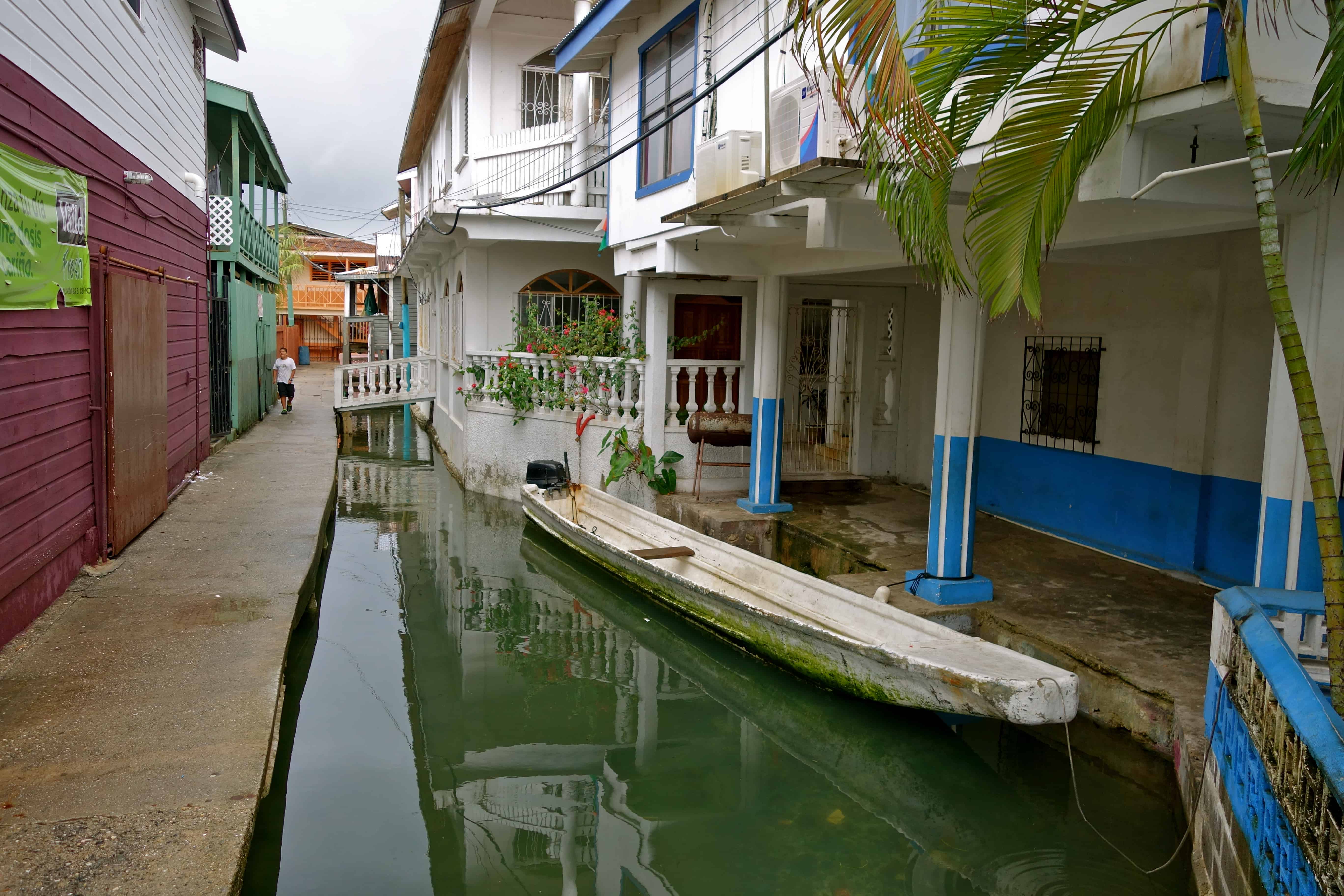 Local partners, volunteers, and purpose-driven action